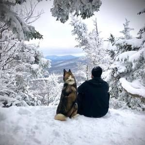 Meet your Posher, Kevin